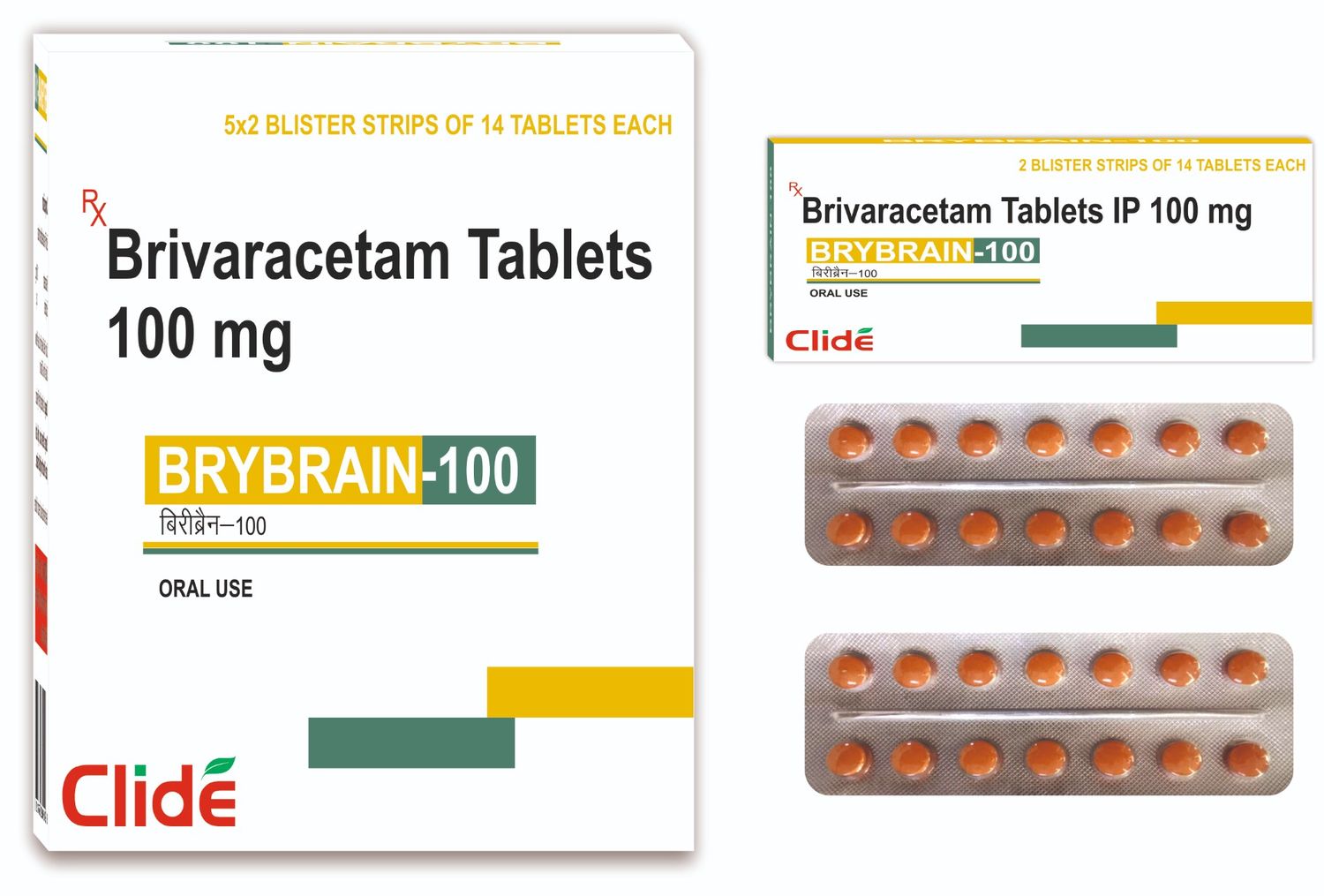 BRYBRAIN-100 BRYBRAIN-100