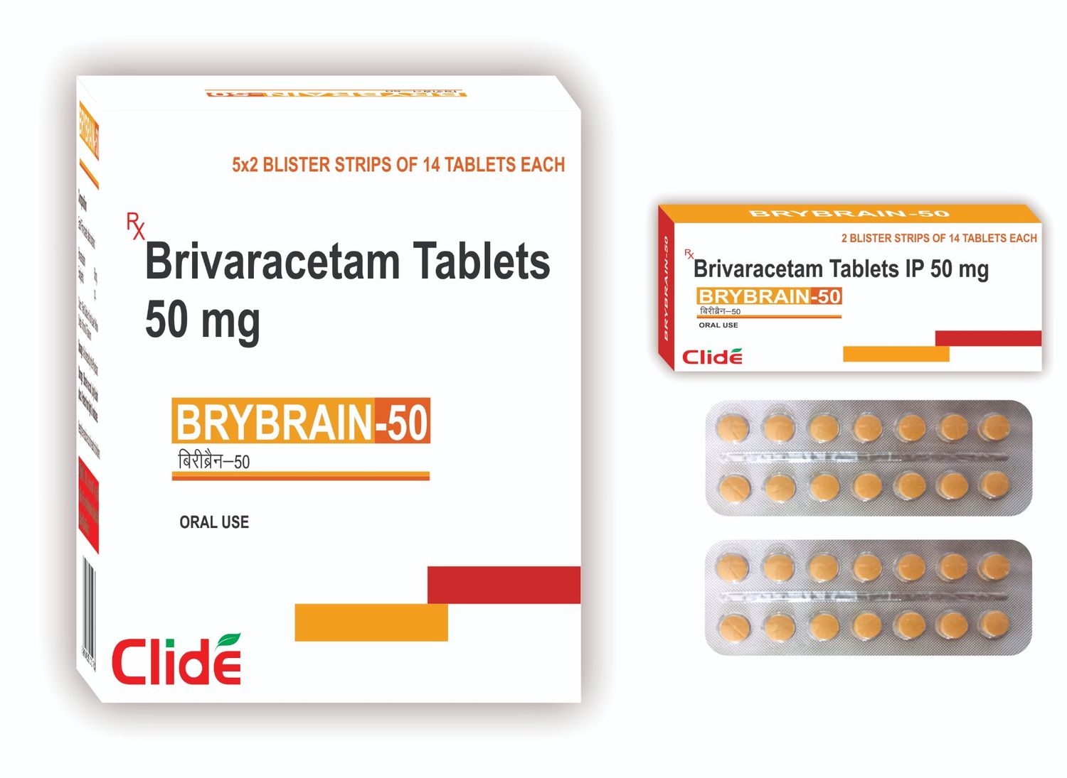 BRYBRAIN-50 BRYBRAIN-50