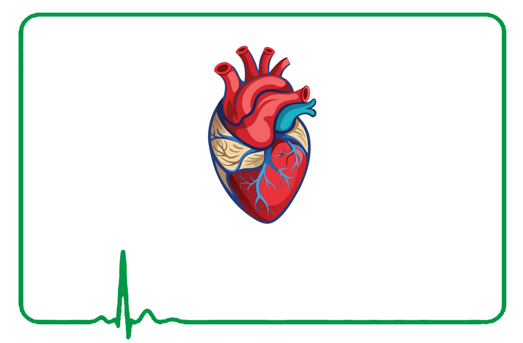 Cardiac Medicines Cardiac Medicines