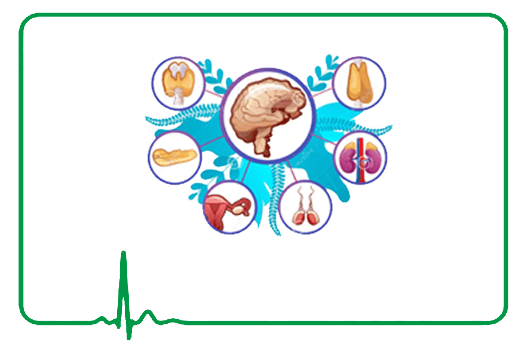 Endocrinologic Medicines Endocrinologic Medicines