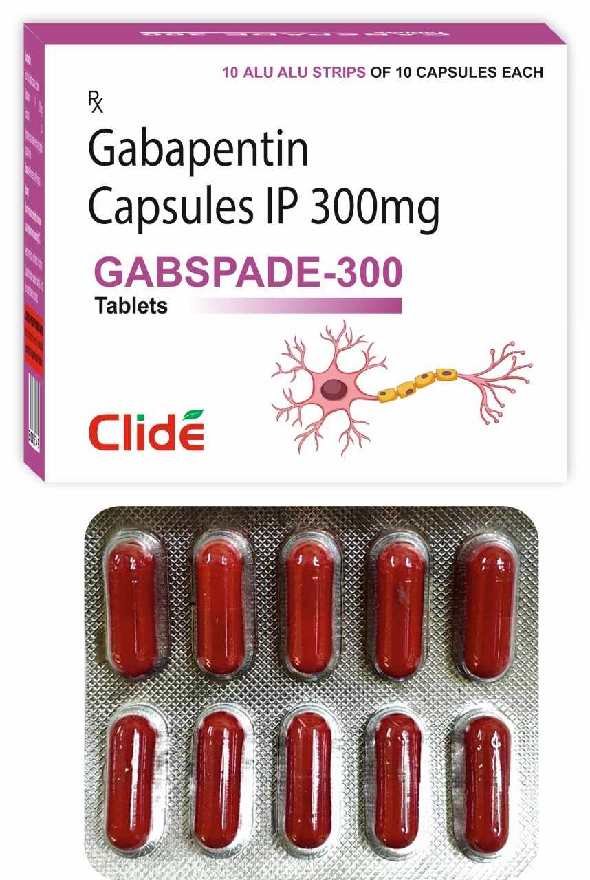 GABSPADE-300 GABSPADE-300