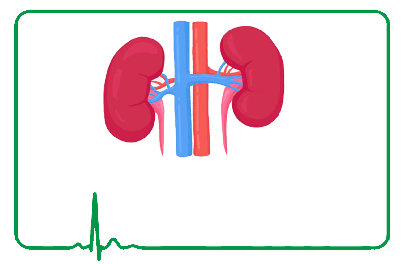 Urology / Nephrology Medicines Urology / Nephrology Medicines